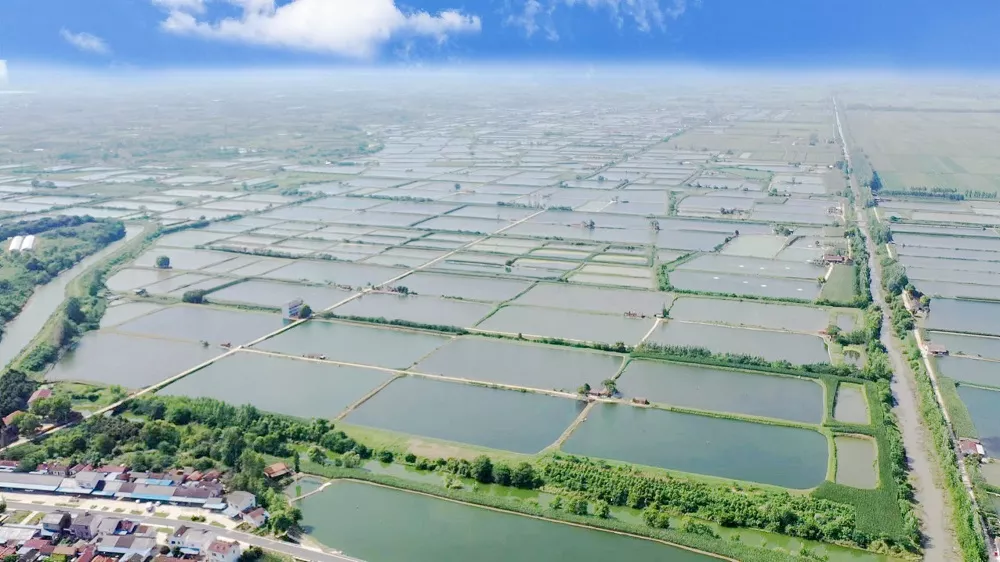 当阳市沮西集中连片养殖池塘标准化改造和尾水治理项目设计采购施工总承包（EPC）