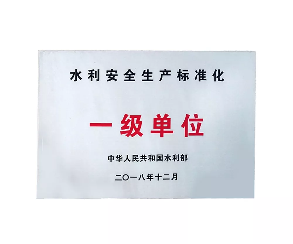水利安全生產(chǎn)標(biāo)準(zhǔn)化一級單位